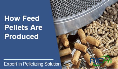 how feed pellet are produced