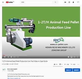 feed animal poultry line of pelletizer