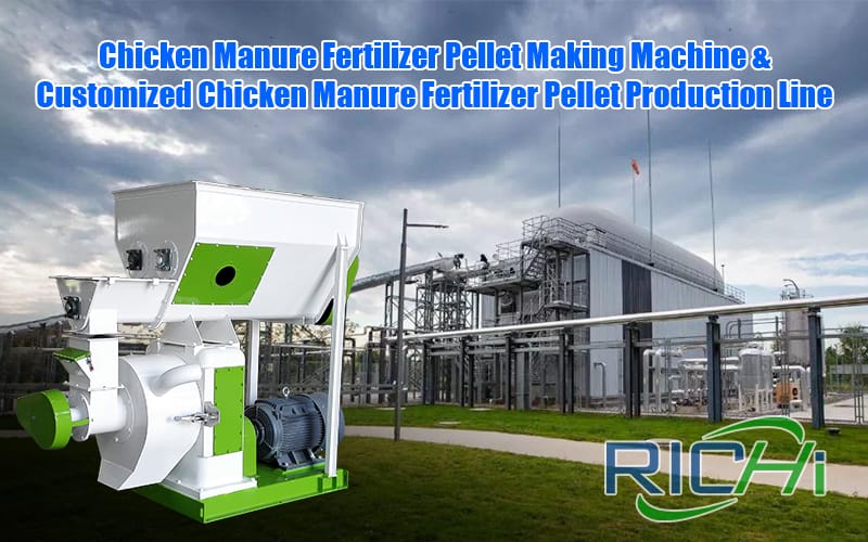 How to make chicken manure fertilizer